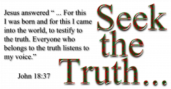 Seek The Truth Icons PNG - Free PNG and Icons Downloads