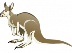 Baby Kangaroo Cliparts 18 - 765 X 900 | carwad.net