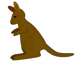 Brown kangaroo sitting up clipart sketch cm this clipa ...