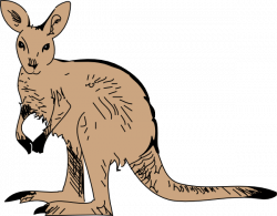 Simple Brown Kangaroo Clip Art at Clker.com - vector clip ...