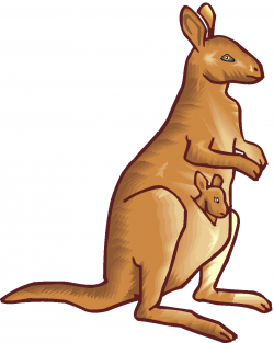 Kangaroo clip art free clipart images 5 - ClipartBarn