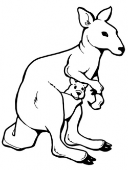 Kangaroo with a Joey coloring page | Free Printable Coloring ...
