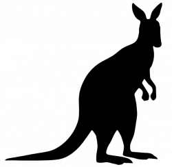 Kangaroo PNG Transparent Image | PNG Arts