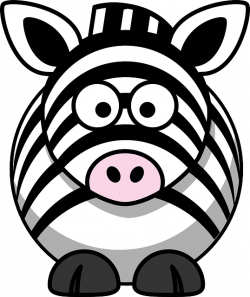 Free Image on Pixabay - Zebra, Animal, Head, Eyes, Happy | Pinterest ...