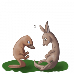 Platypus and Kangaroo by Otterlore on DeviantArt