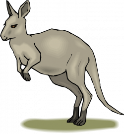 Cartoon Kangaroos Group (46+)