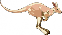 Free Kangaroo Clipart - Clipart Picture 1 of 9