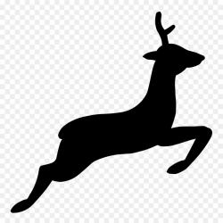 Kangaroo Cartoon clipart - Laptop, Kangaroo, Deer ...