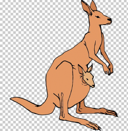 Australia Kangaroo PNG, Clipart, Animal Figure, Australia ...
