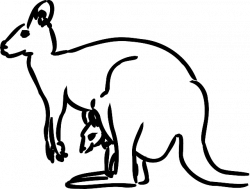 Free Image on Pixabay - Kangaroo, Baby, Animal, Mammal | Pinterest ...