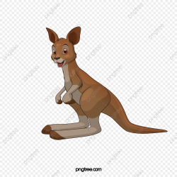 A Kangaroo, Kangaroo Clipart, Kangaroo, Mammal PNG ...