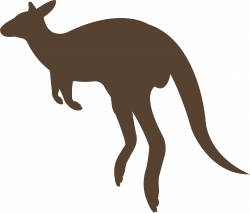 Kangaroo PNG Transparent Quality Images | PNG Only