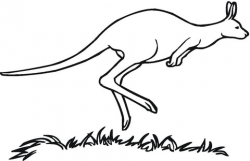 Australian Kangaroo coloring page | Free Printable Coloring ...