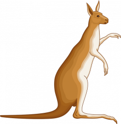Collection of Cartoon Kangaroo Pictures | Buy any image and use it ...