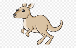 Race Clipart Kangaroo - Kangaroo Cartoon Small - Png ...