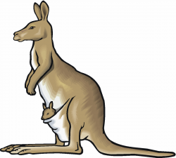 Kangaroo clipart 2 - Clipartix
