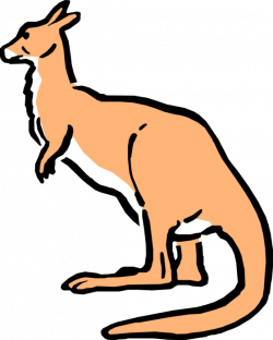 Cartoon Australian Kangaroo - Vector Image