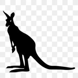 Kangaroo Vector Png, Vector, PSD, and Clipart With ...
