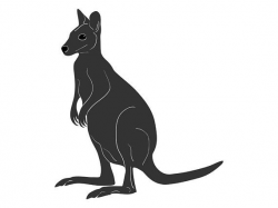 2019的Kangaroo clipart, instant download, hand drawn digital ...