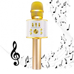 Diyomate Wireless Bluetooth Karaoke Microphone Handheld KTV Home Mic  Singing Speaker Player Party Birthday Professional Microphones for  iOS/Android ...