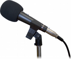 Microphone Transparent PNG Pictures - Free Icons and PNG Backgrounds