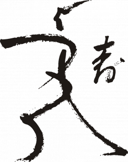 Kimura Shukokai Karate | Me and Karate | Pinterest | Martial