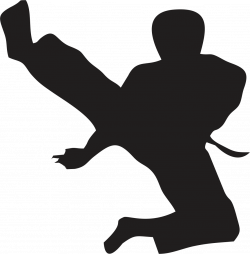 Flying kick Taekwondo Karate Martial arts - karate png ...