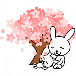 Clip Art Cherry Blossom - Cliparts.co