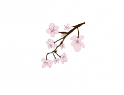 cherryblossom sakura kawaii flowers tumblr ftestickers...