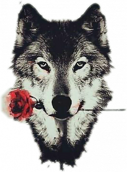 Wolf Tumblr kawaii rose wolf tumblr animalstickers...