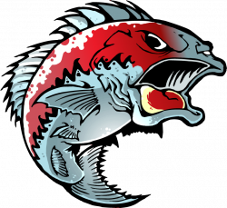 Pin by Geared Up Fishing on Stuff to Buy | Pinterest | Fish