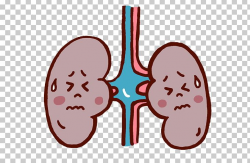 Chronic Kidney Disease (ckd) Urine Organ PNG, Clipart, Acute ...