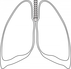 Lungs Clipart Black And White | Letters Format