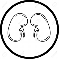 Kidney Clipart Black And White - ClipartFest | Health ...