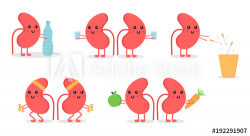 Set, collection of cartoon doodle kidney character, nice and ...