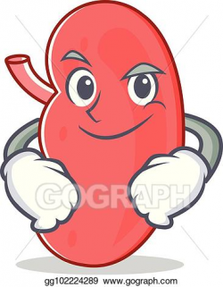 Vector Art - Smirking kidney character cartoon style ...