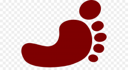 Kidney transplantation Foot Clip art - Kidney Cliparts png ...