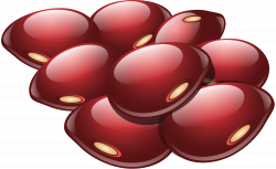 Kidney beans PNG images free download