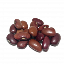 Dry Beans PNG Transparent Dry Beans.PNG Images. | PlusPNG