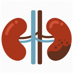 Cancer, disease, ill, infection, kidney, kidney failure icon ...
