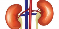 Priced at Rs 5, this biosensor can detect kidney disease in ...