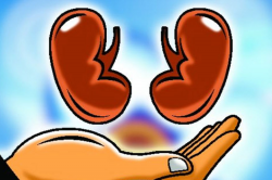 Woman Donates Kidney to Brother, Saves His Life - News18