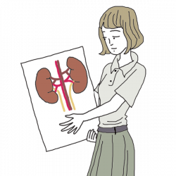 Kidneys Dream Dictionary: Interpret Now! - Auntyflo.com