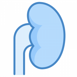 Icône Rein - Téléchargement gratuit en PNG et vecteurs