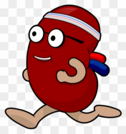 Sick Kidney Clipart Amp Sick Kidney Clip #88650 - PNG Images ...