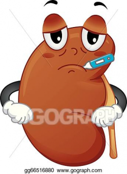 Vector Stock - Kidney mascot. Stock Clip Art gg66516880 ...
