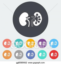 Vector Art - Human kidney. EPS clipart gg69369452 - GoGraph