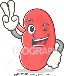 Vector Illustration - Two finger kidney character cartoon ...