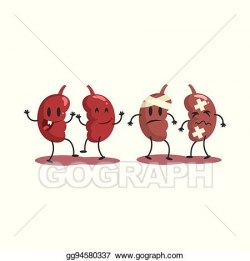 Vector Stock - Kidneys human internal organ healthy vs ...