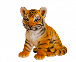 Real Animal PNG Transparent Real Animal.PNG Images. | PlusPNG